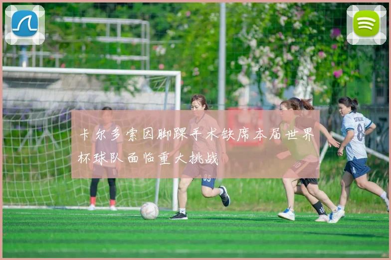 卡尔多索因脚踝手术缺席本届世界杯球队面临重大挑战